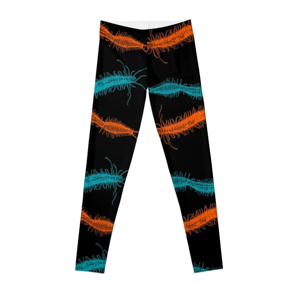 

Centipedes in Blue and Orange Leggings Clothing fitness Training pants Womens Leggings