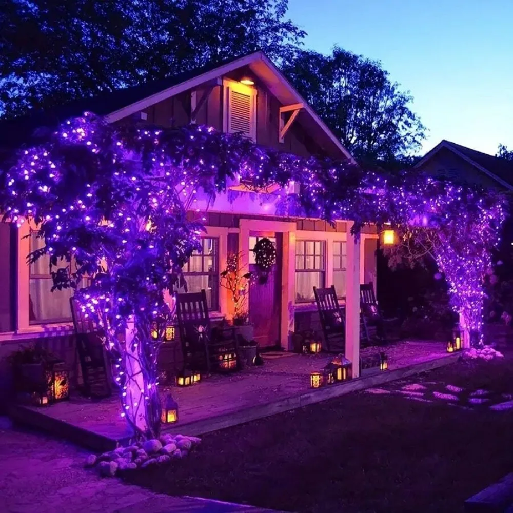 LED Purple Fairy Lights USB Plug Copper Wire， Halloween Decorations, Bouquet & Gift Box Accents