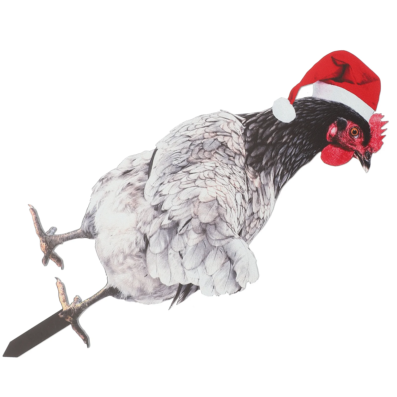 RORPOIR Garden Signs Outdoor Chicken Decor Acrylic Yard Stake Realistic Animal Decoration for Lawn