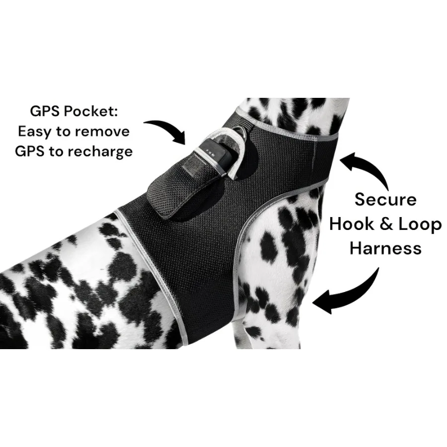 

Rechargeable Pocket GPS GSM Tracking Collars for Hunting Dogs Realtime Size:S