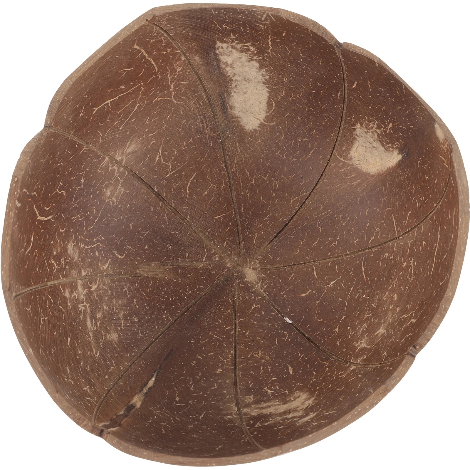 

Flower Shape Coconut Shell Soap Dish Fruit Bowl Dessert Plate Bathroom Container H made Drainage Design Multi Use Kitchen