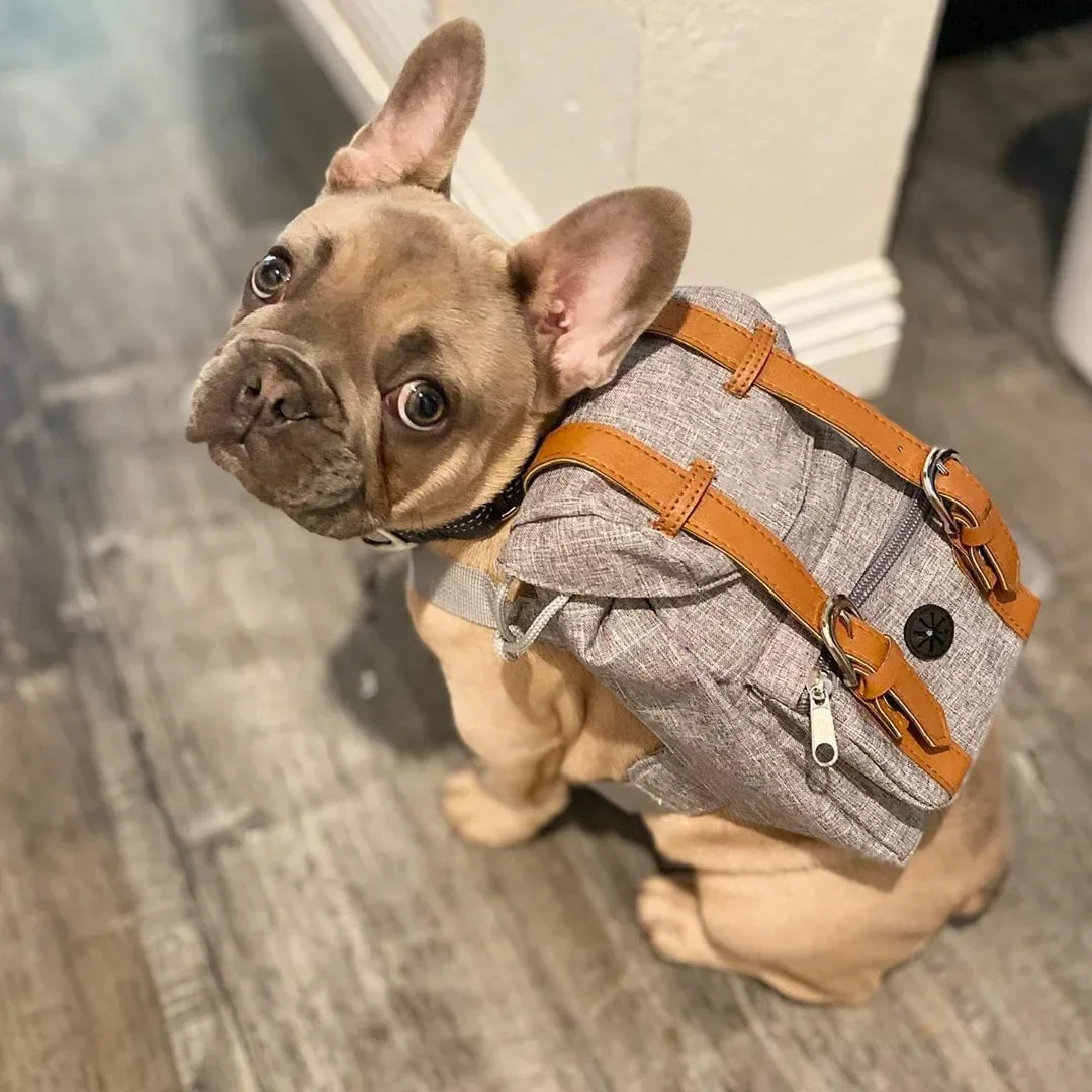 Cute Pet Backpack Large-capacity Dog Snack Bag Puppy Portable School Bags Convenient For Small Medium Dogs