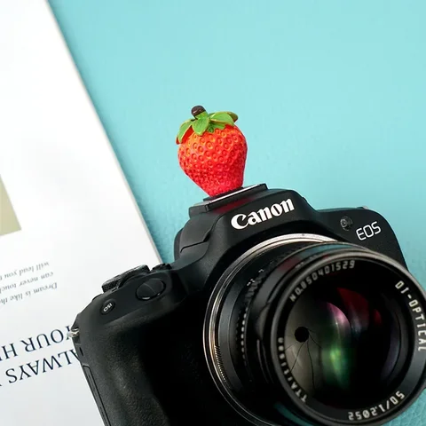 Пылезащитная мультяшная крышка для «горячего башмака» Пылезащитная крышка для «холодного башмака» для камер Nikon, Canon, Nikon, Sony, Fujifilm, Leica, Pentax, Panasonic топ 12 камера Lumix - №12