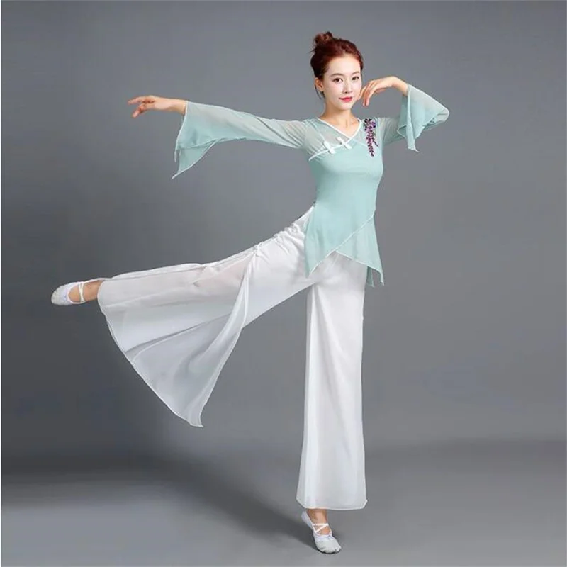 Women Classical Chinese Dance Sheer Mesh Flowy Top National Folk Dance Practice Costume Long Sleeve Stage Performance Exam