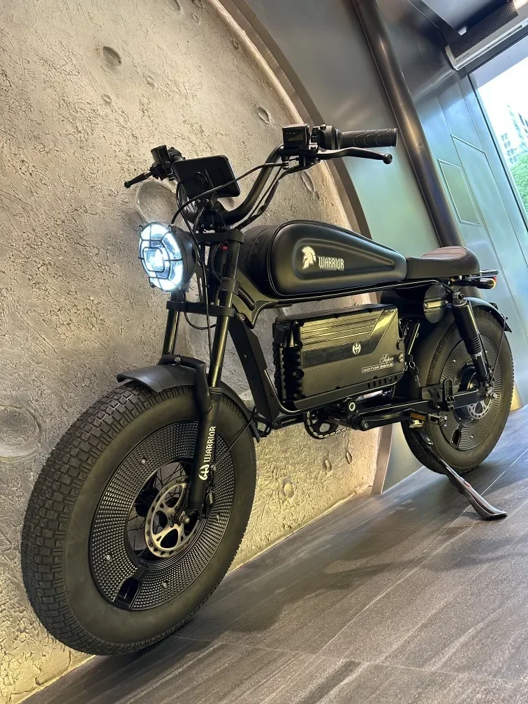 ZPW ブラックウォリアー 3000 ワットバイク 60V 60AH 電動自転車