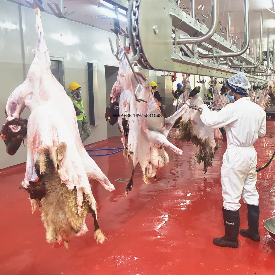 60 Head Per Hour Sheep Mutton Slaughter House Equipment and Lamb Abattoir