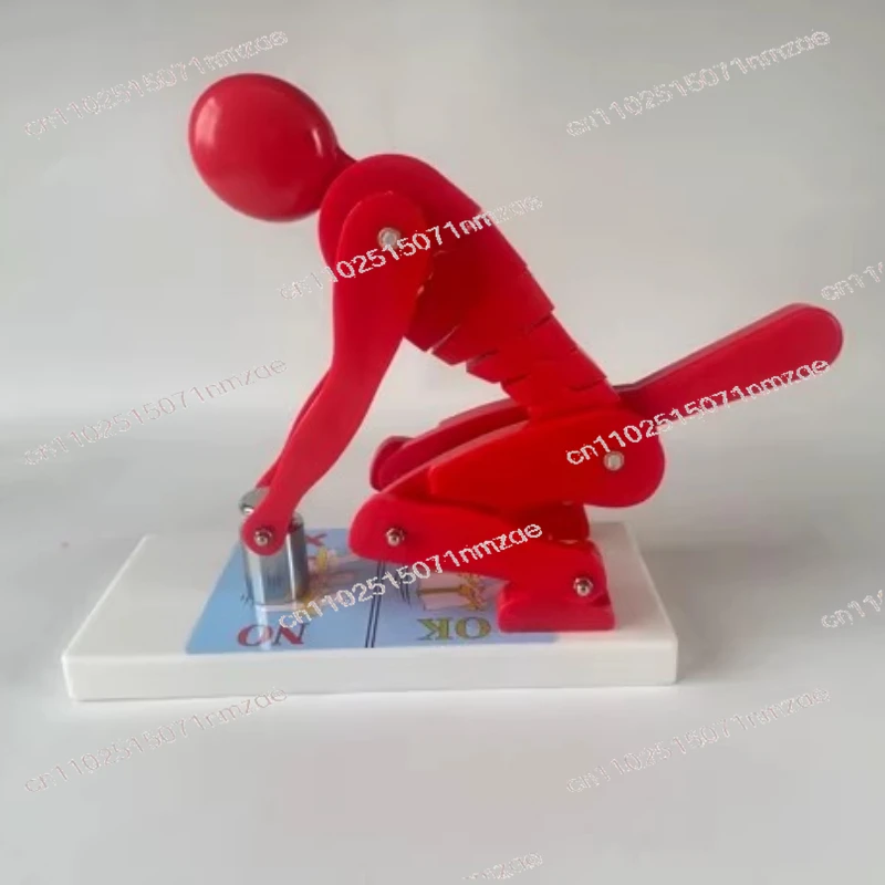 Fitness Weight Correct Posture Demonstration Human Body Bending Over Weightlifting Spine Force Demonstration Model