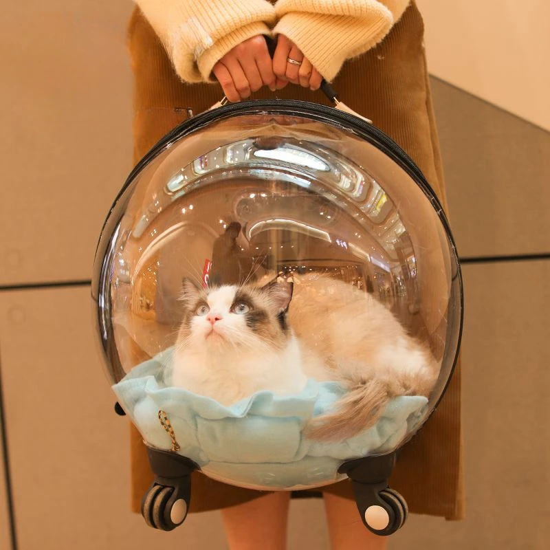 Cat Bag Outdoor Portable Trolley Case Space Capsule Cats Backpack Diaper Bag Large Capacity Transparent Pet Cat Carriers