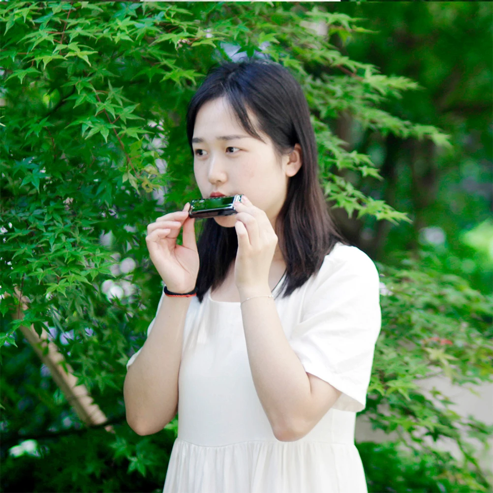 

10 Harmonica Standard Harmonicas for Beginner Boxed Playing Instruments Professional