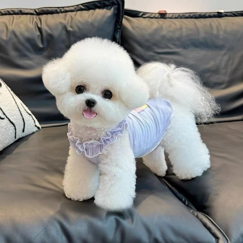 

Pet Cake Vest Summer Dog Sling Ins Style Small Dog Teddy Clothes Pomeranian Cat Breathable Short Sleeve