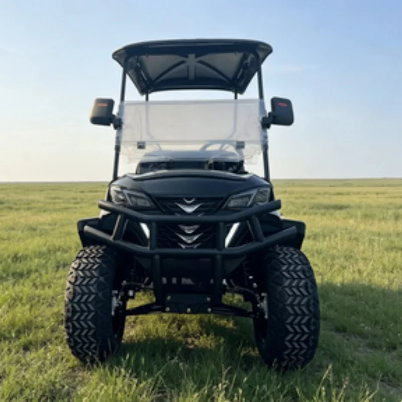 New Energy 60V Lead Acid Battery 2 Seater Electric Golf Cart Club Electric Cargo Truck Cart With Rear Cargo Box Off-Road Tires