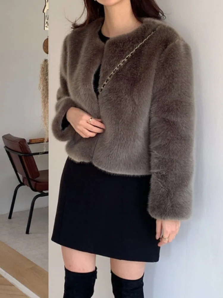 Cute Spunky Chic ort Fur Coat Women's Soft Fluffy Outerwear Korean Sle Spring Autumn Winter Casual Faion Student Date
