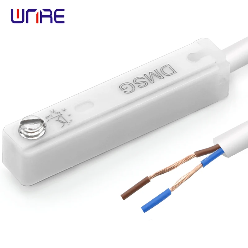 DMSG Electronic Magnetic Switch Sensitive Probe Power Line Automatic Control Cylinder Sensor 2Wire 2m Magnetic Induction Switch