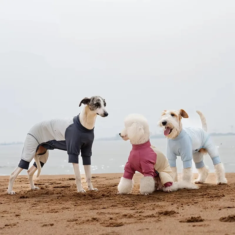 

Summer Dog Cooling Clothes Modern Latest Custom-Made Lightweight Breathable Comfortable Pet Jacket Four Legs for Outdoor Outfit