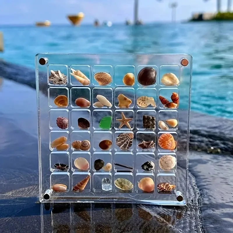 Acrylic Magnetic Shell Display Case 36-Compartment Transparent Organizer for Various Seashells Hand Washable Seashell Jewelry