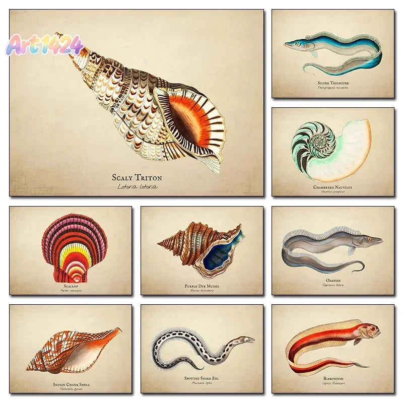 Classic Marine Illustration Posters Nautical Shell Eel Fish Jellyfish Prints Canvas Painting Wall Art Pictures Home Room Deco