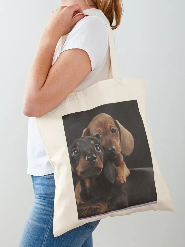 Dachshund Dog portrait photo pupies Tote Bag women bag ecological bags custom bags Cloth bags