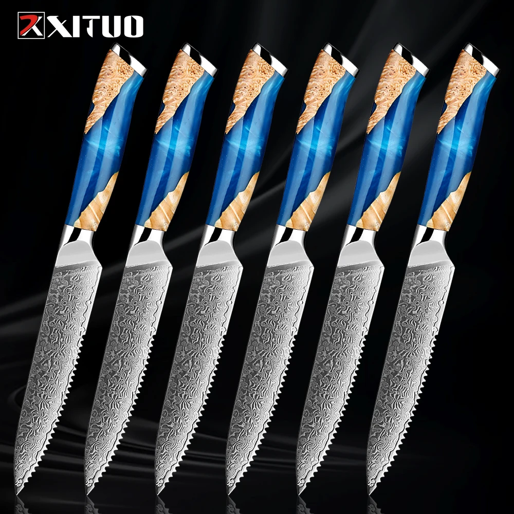 XITUO Damascus Steak Knife Set 2-4Piece Japanese VG10 Steel Blades 5 Inch Premium Serrated Steak Knife Kitchen Table Knife Set