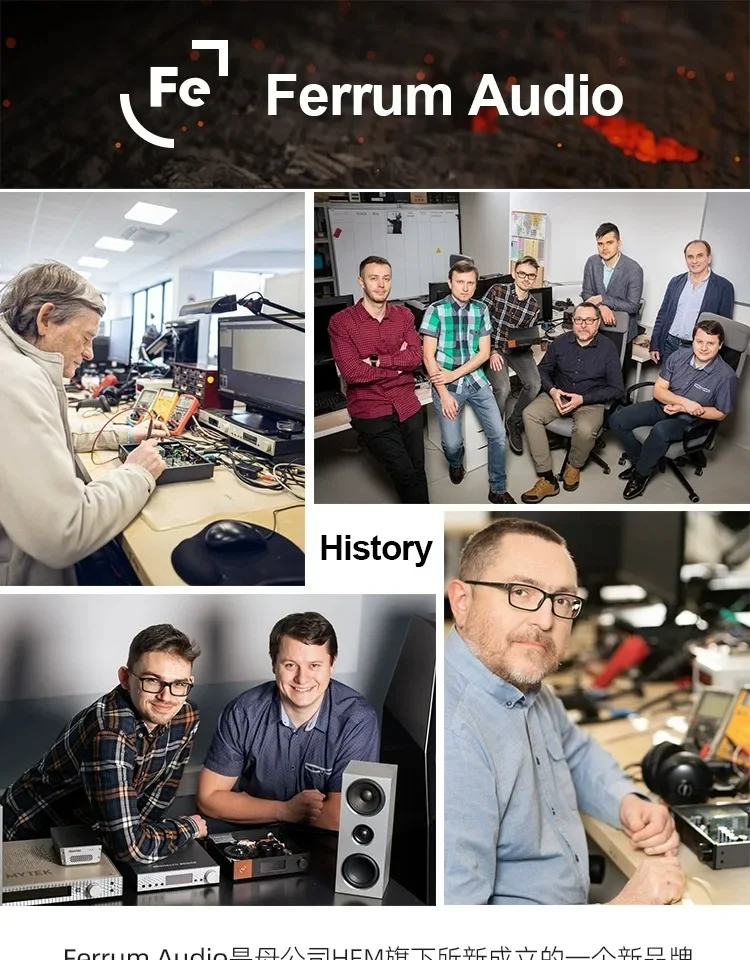 Польский Ferrum Audio Worge Цифровой фильтр HIFI Pure DAC Настольный декодер с передней частью