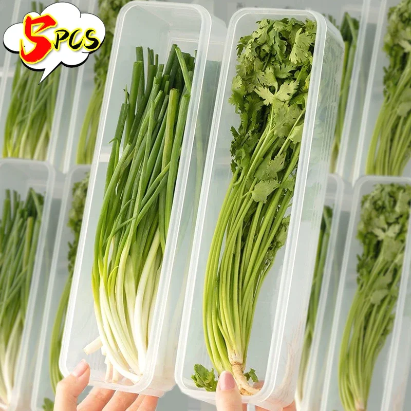 

1/5PCS Food Fresh-keeping Boxes with Lid Rectangular Scallion Coriander Storage Box Transparent Kitchen Sealed Storage Container