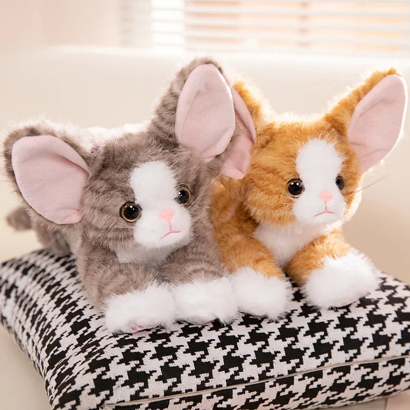 Real Life Cat Plush Toys for Kids, gatinho macio, modelo Devon Rex, animais realistas, decoração do quarto, aniversário, presente de Natal