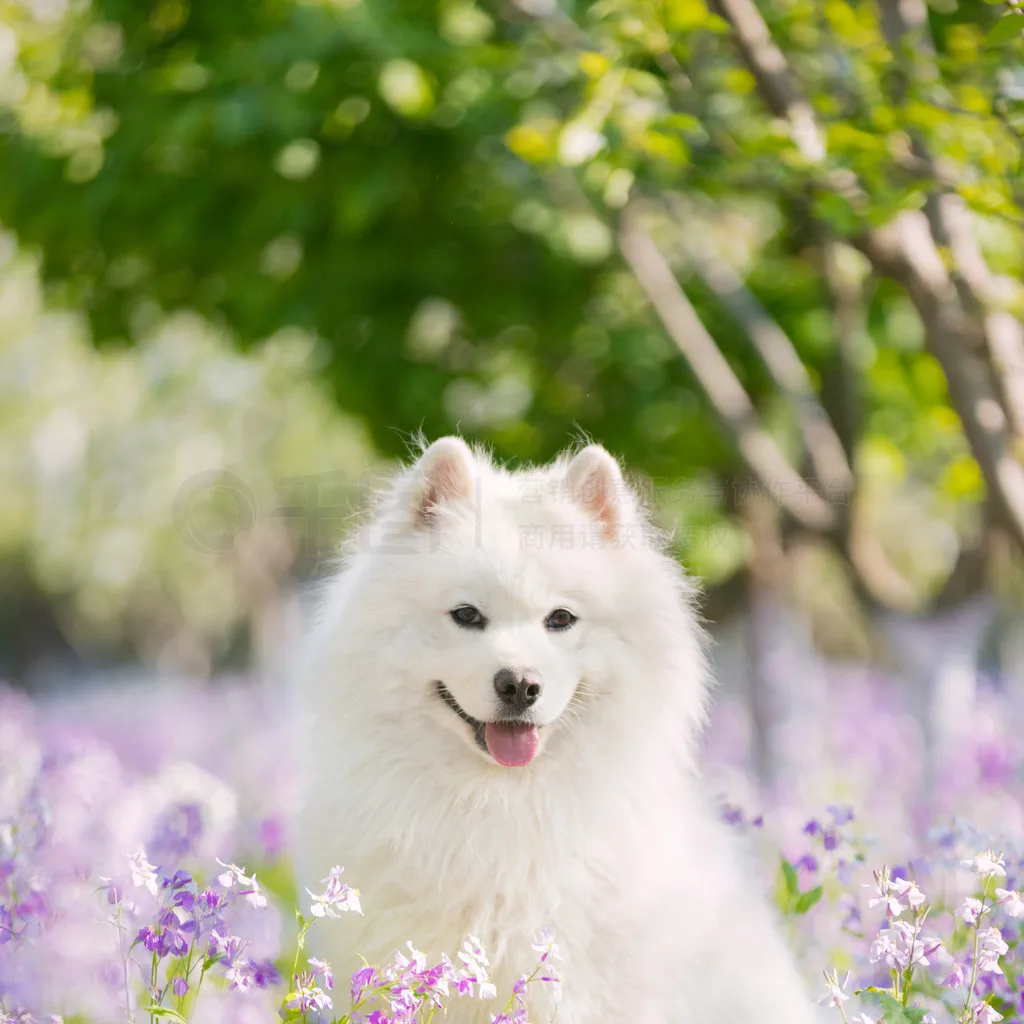 

Горячая распродажа: Коллекционные фигурки аниме-персонажей, игрушки-модели, подарки для детей и взрослых