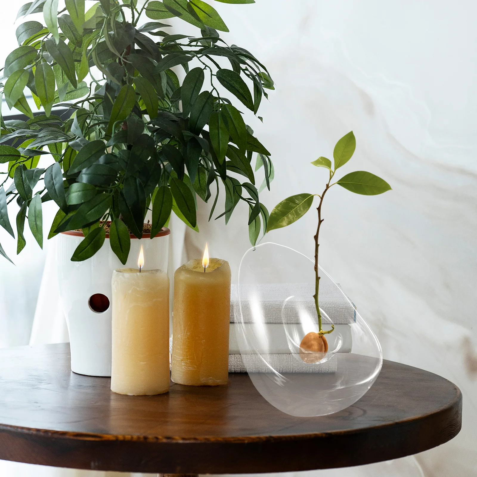 

Avocado Hydroponic Glass Vase Transparent for Plant Propagation Easy Root Viewing Wide Mouth Design Tabletop Decoration Indoor