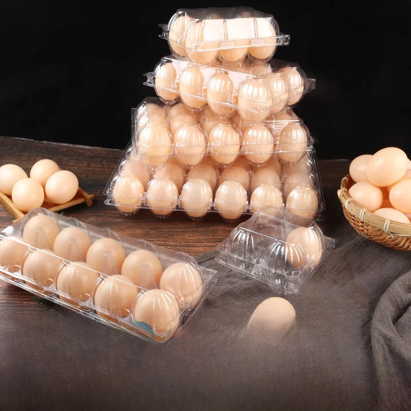 carton-de-huevos-de-plastico-transparente-caja-de-huevos-desechable-multiples-tamanos-para-picnic-barbacoa-camping-acti