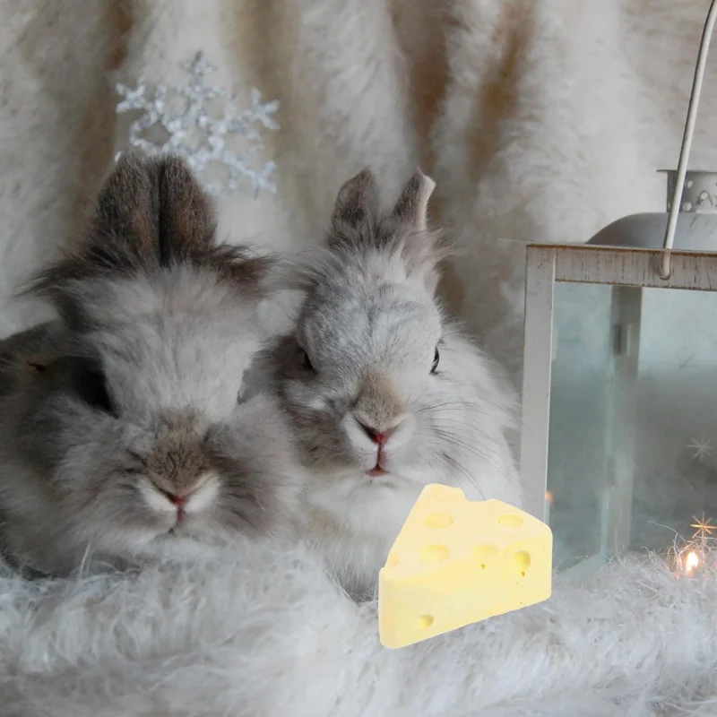 teeth-grinding-supplies-for-hamsters-rabbits-guinea-pigs-and-small-pets-in-the-shape-of-calcified-cheese-to-relieve-boredom