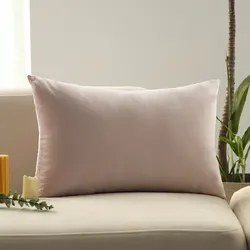 30x50 Velvet Cushion Cover Soft Pink Pillowcase Bedroom Living Room Sofa Throw Pillow Cover Simple Home Decor Funda Cojin