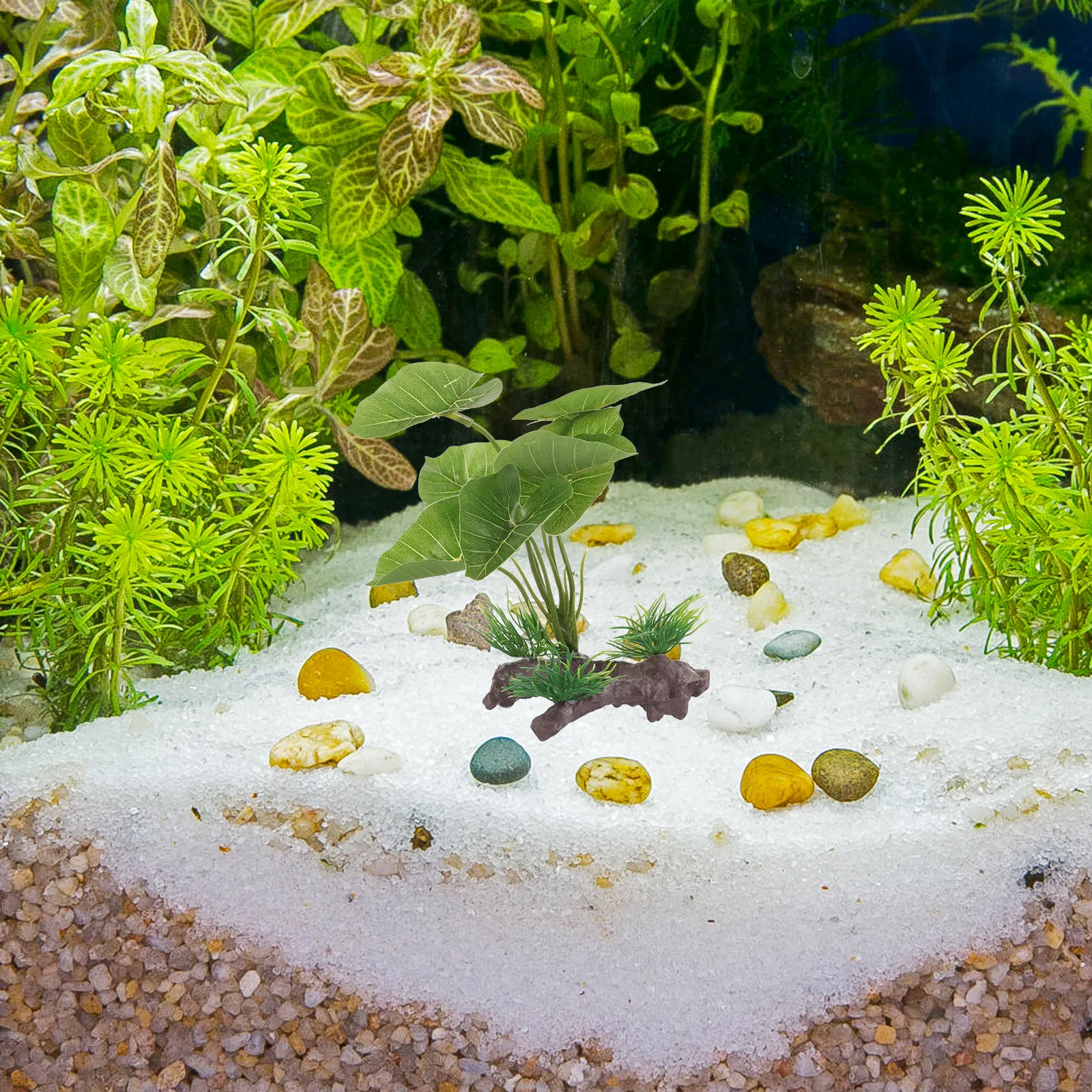 ต้นไม้พลาสติกเสมือนจริงสำหรับต - Planted Aquarium Care บทวิจารณ์และราคา