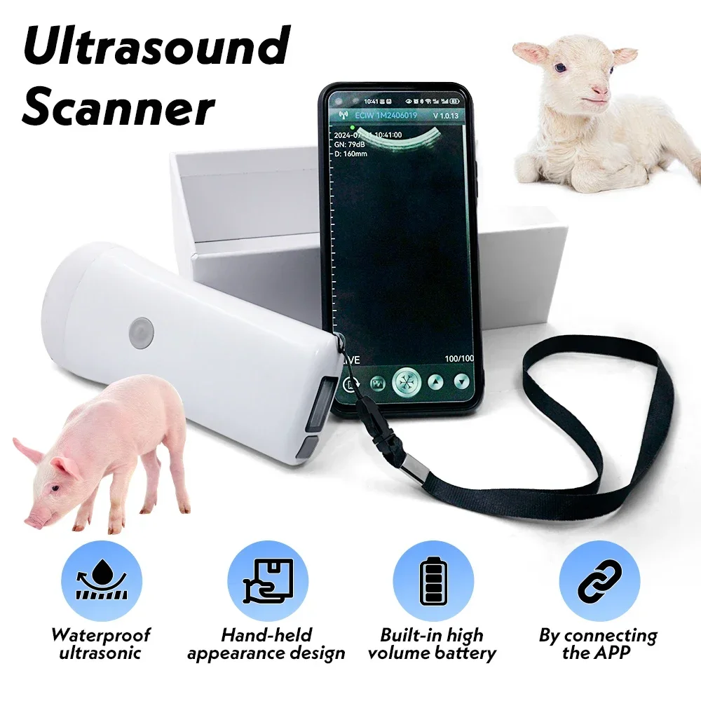 Wireless Veterinary Ultrasound Probe Scanner 80 Element Electronics Pregnancy Test Handheld Ultrasound Machine for Pig Sheep