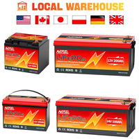 LiFePO4 Battery Pack 12V 24V 36V 48V 50Ah 60Ah 100Ah 200Ah 300Ah Lithium Iron Phosphate Battery Built in BMS For RV Campers