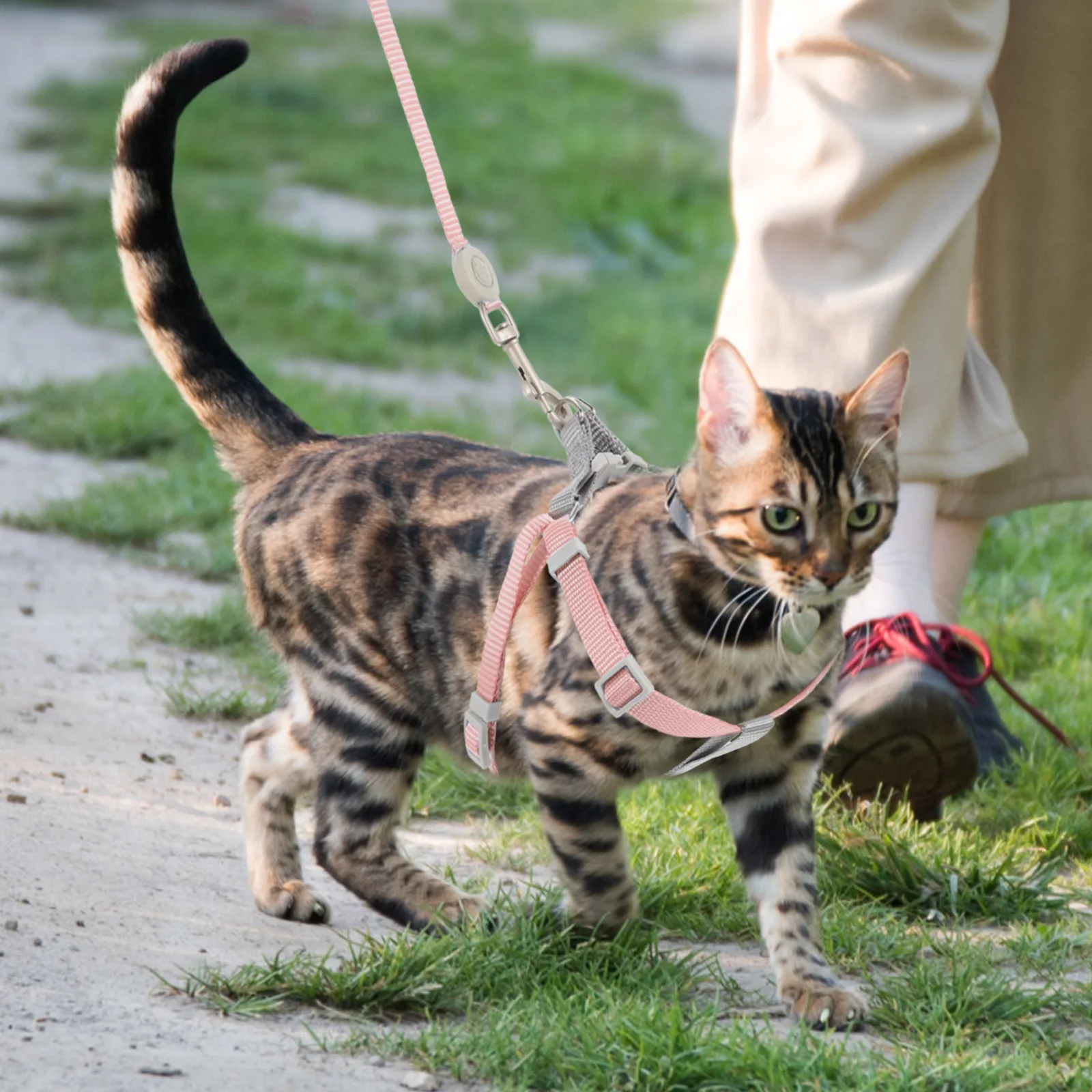

1Set Durable Cat Harness and Leash Set Easy One Hand Operation Stylish Pet Walking Accessories for Small to Large Cats