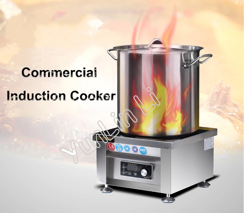 2025 Version Induction Cooker High Power Oven Large Heating Area Intelligent Time And Temperature Setting Electric Stove