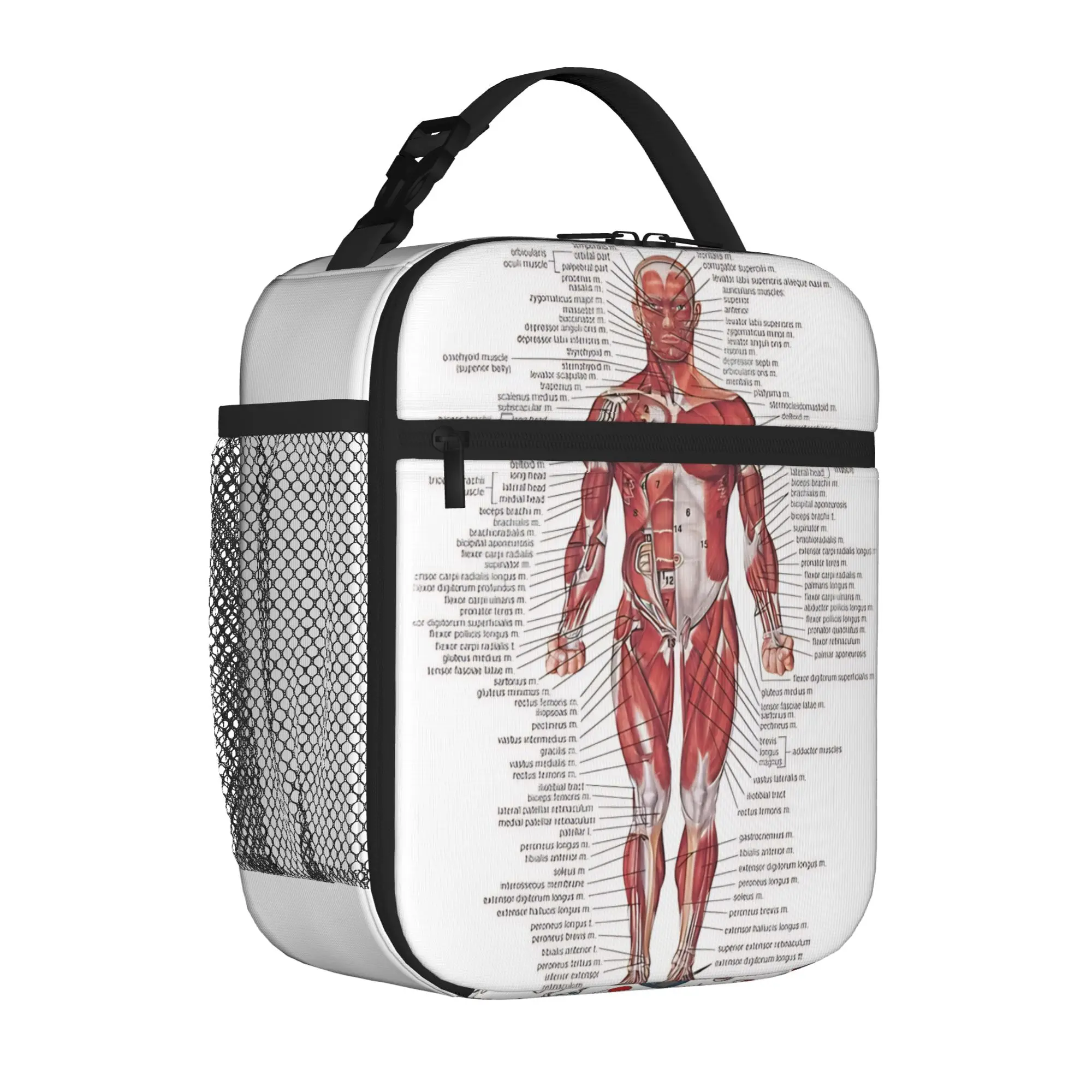 1 Piece Zipper Closure Nurse Tools Storage Bag Pocket Medical School Lunch Food Box Reusable For Lunch Food Bag
