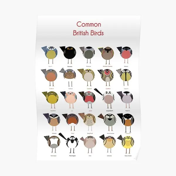 

Common British Birds Poster Modern Room Mural Home Painting Decor Art Print Decoration Picture Vintage Funny Wall No Frame