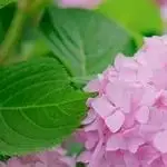 

14.8V 14Ah 18650 lithium battery pack 4S4P 16.8V LED night fishing light heater miner's light amplifier battery