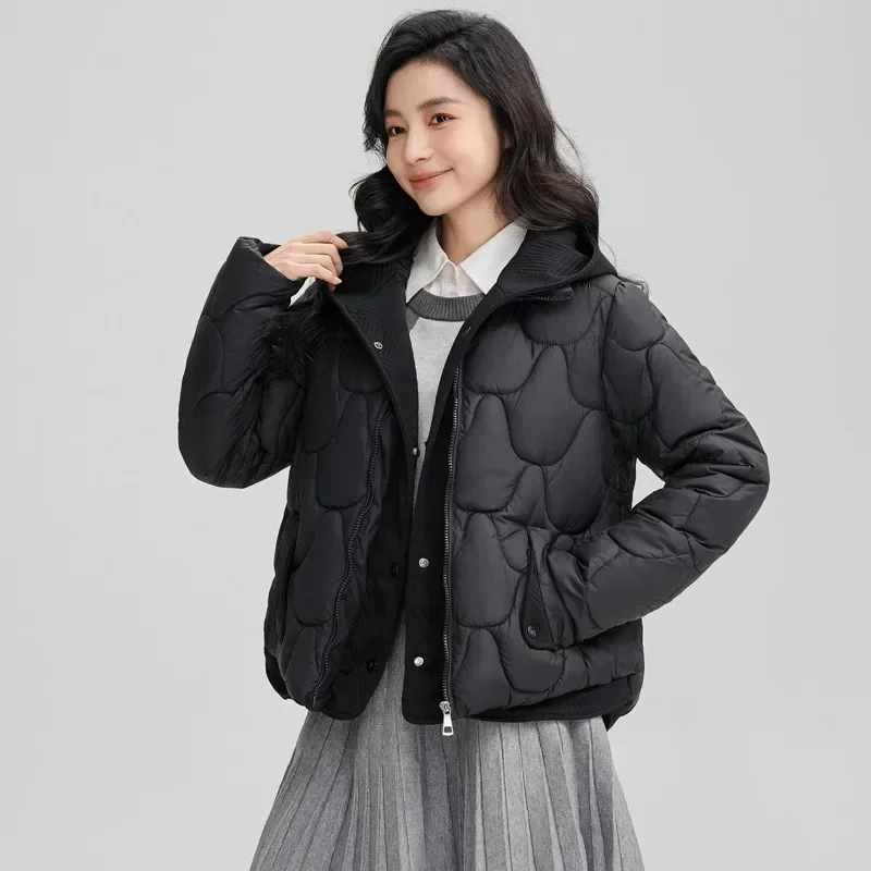 2024 Winter New Fashionable Loose Down-Filled Cotton Jacket - Plush Hooded Cozy Puffer Coat for Women