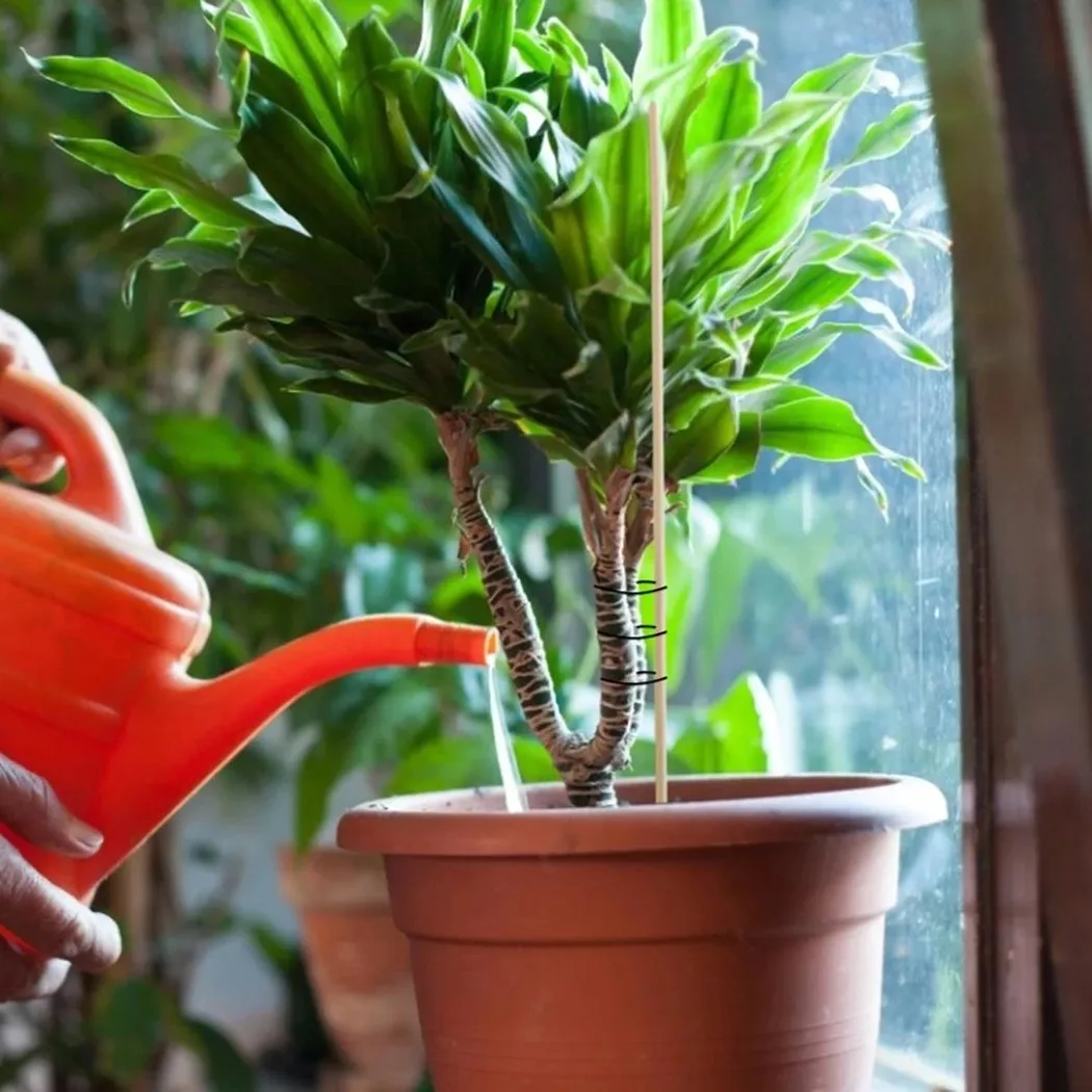 植物サポートスティック、トレリスステークスティック、ガーデニングツール、トムリッチ、耐久性、高品質、100個、20cm
