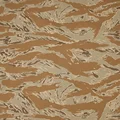 Tiger Strip Desert