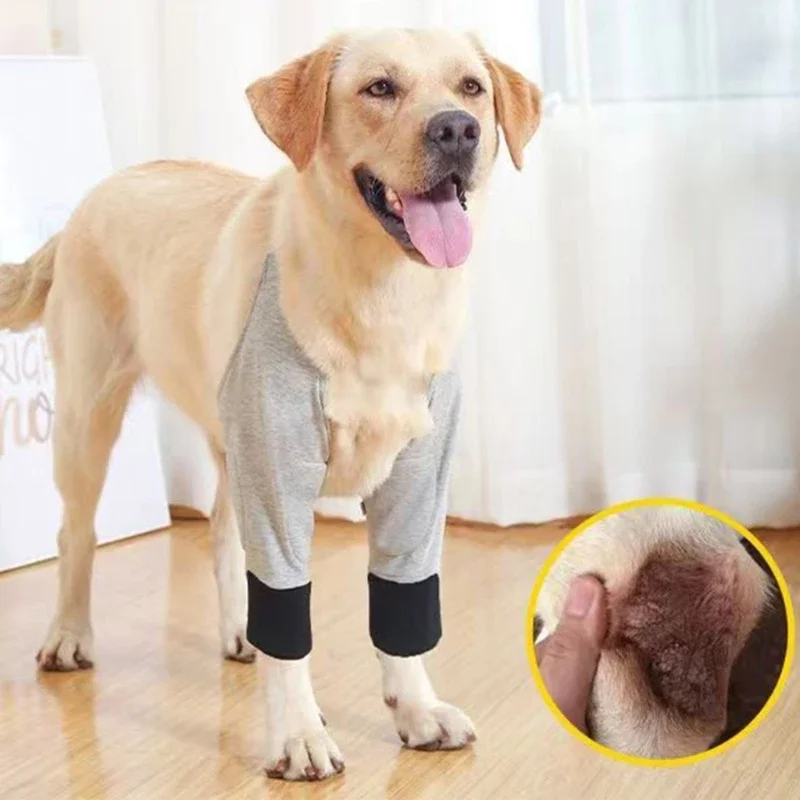 Dog Elbow Brace Support for Injured Limbs Promotes Comfort Helps Against Licking Assists Brace Sleeve