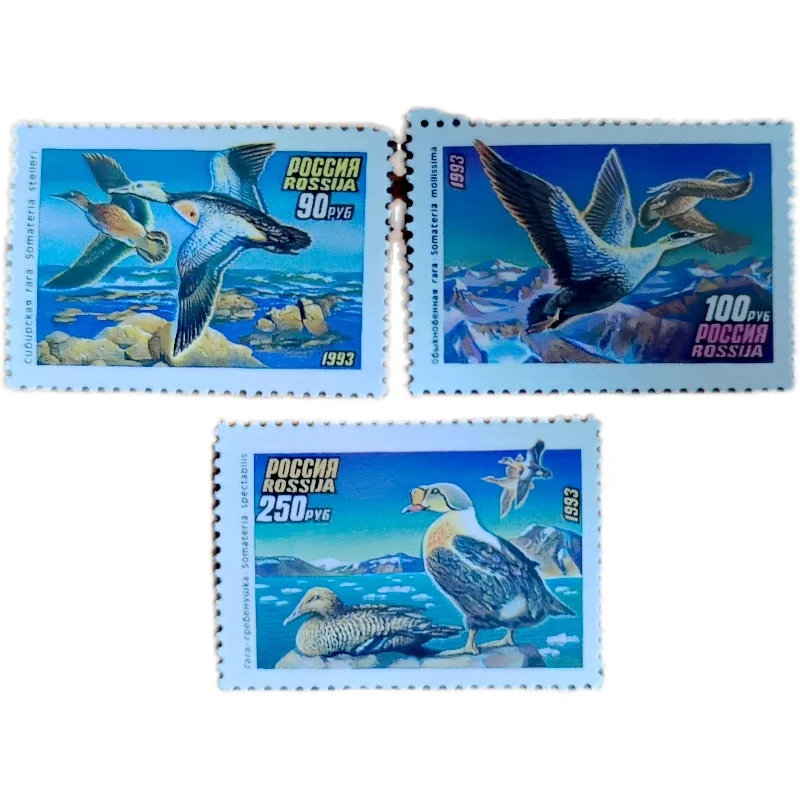 3Pcs/Set New Russia Post Stamp 1993 Duck Birds Postage Stamps MNH