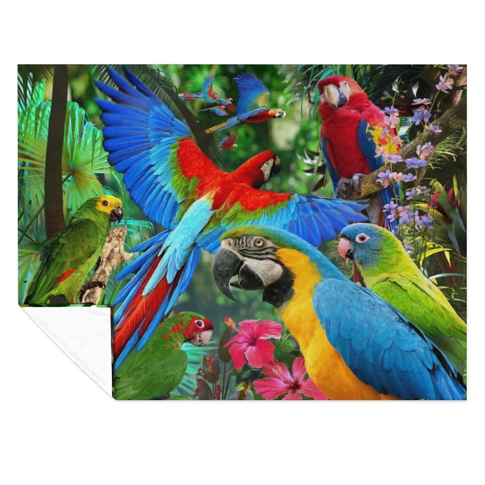 

Parrots Throw Blanket Hair Furrys Blankets Sofas Of Decoration Soft Beds Blankets