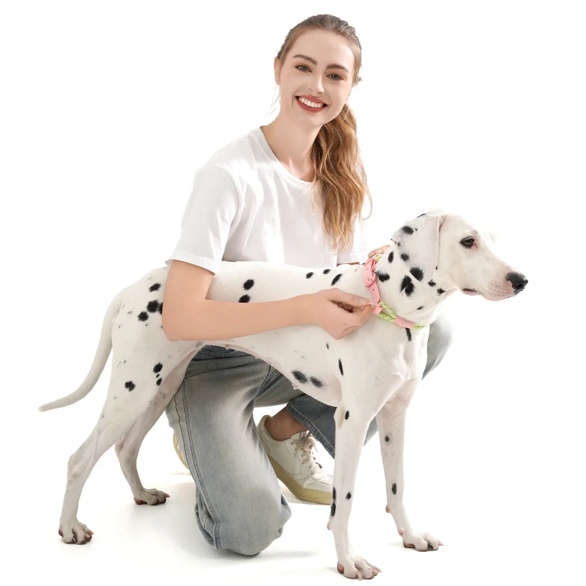 Pet Collar Cute Fashion Nylon Webbing Dog Lead Collar Candy Style Handmade Biothane PVC Neck Ring Cool Waterproof Dogs Supplies