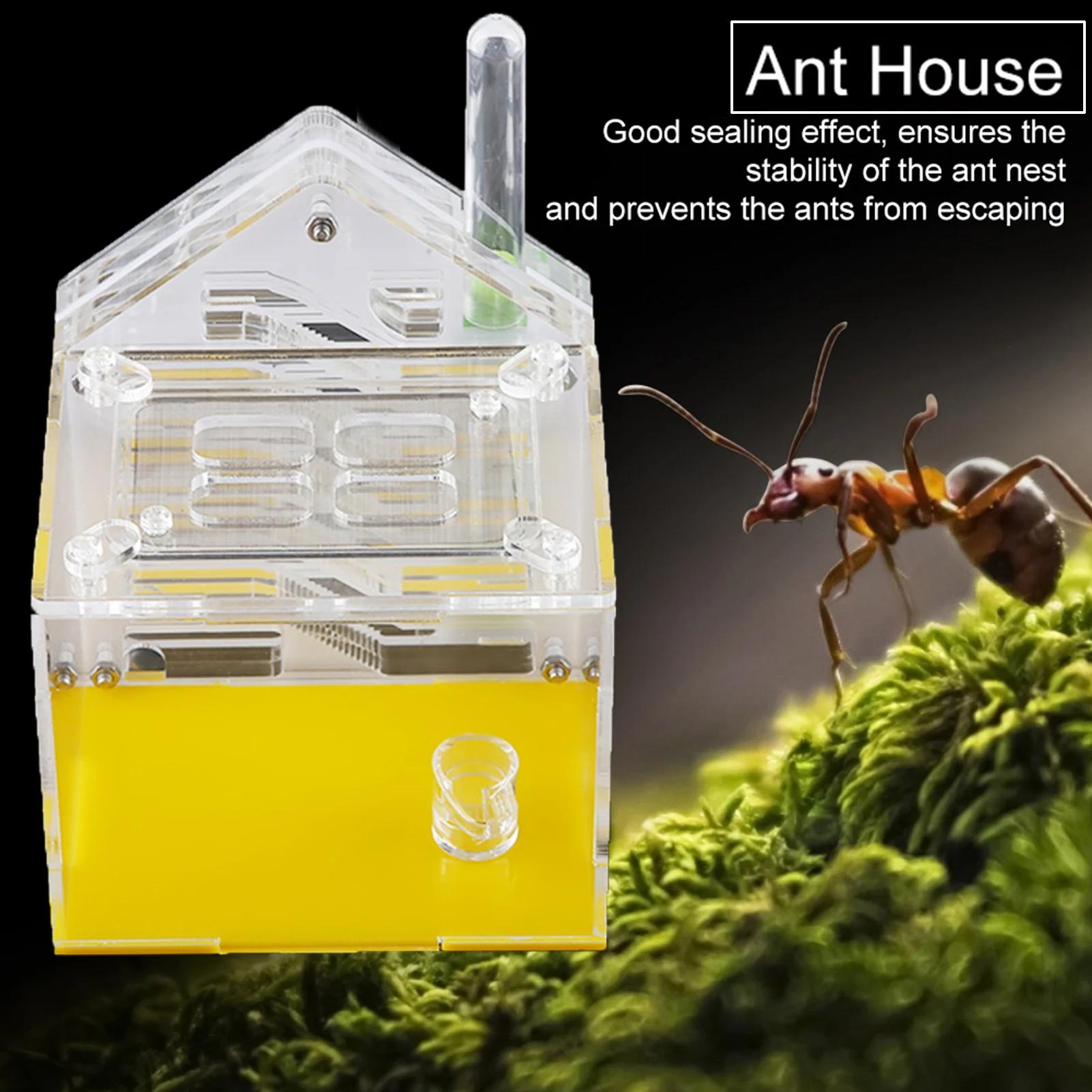 Acrylic Ant Nest Villa Farm House Formicarium For Ant Feeding