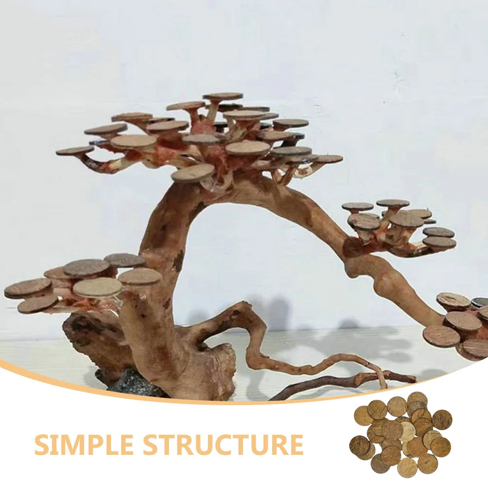 Coconut Disk Aquarium Tank Raw Materials Fish Accessories Three-dimensional DIY Coconuts Shell Chip