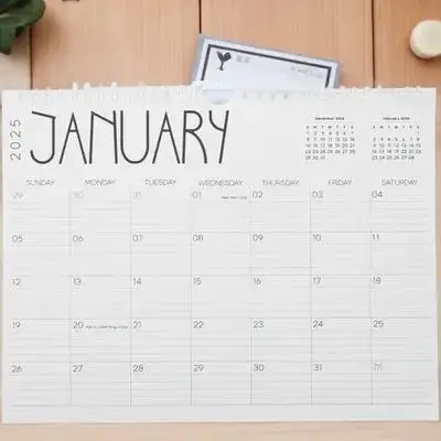 

Годовой настенный календарь на 2025 год, 12-месячный планировщик, подвесной крючок с двумя проводами, прозрачный принт, органайзер для планирования в семейном офисе и школе