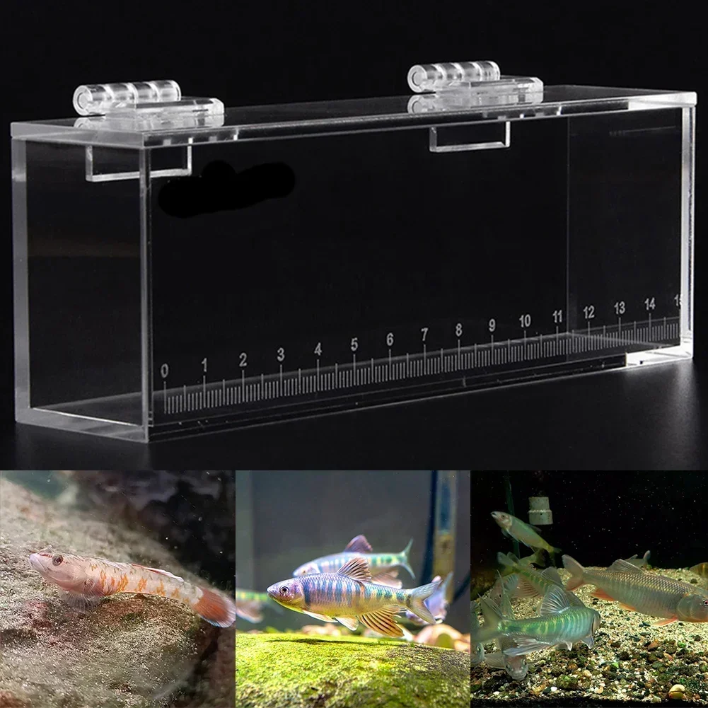 1pc Fish Viewing Box High Clear With Scale Fish Box Fish Tank For Bitterling Gobies Home Aquariums Acrylic Fish Viewing Box