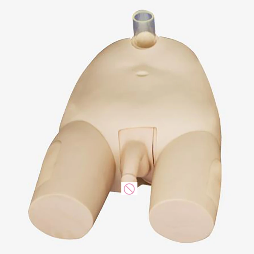 

Advanced Male Bladder Puncture Simulator, Vesicopuncture Training Model